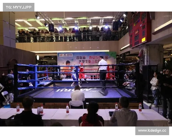 著名拳击职业赛事(著名拳击职业赛事排名)